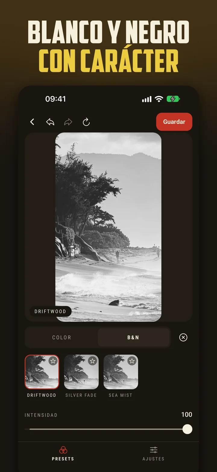 Editor con el preset en blanco y negro Driftwood